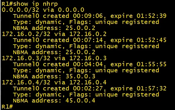show ip nhrp (on hub)