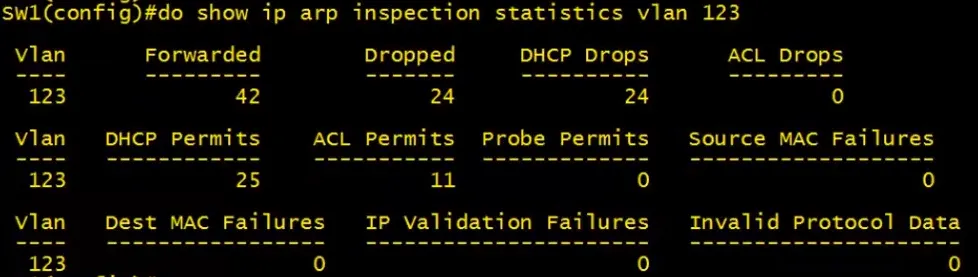 ip arp inspection statistics