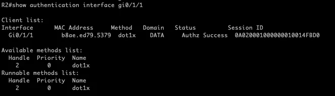 show authentication interface