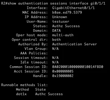show authentication session interface